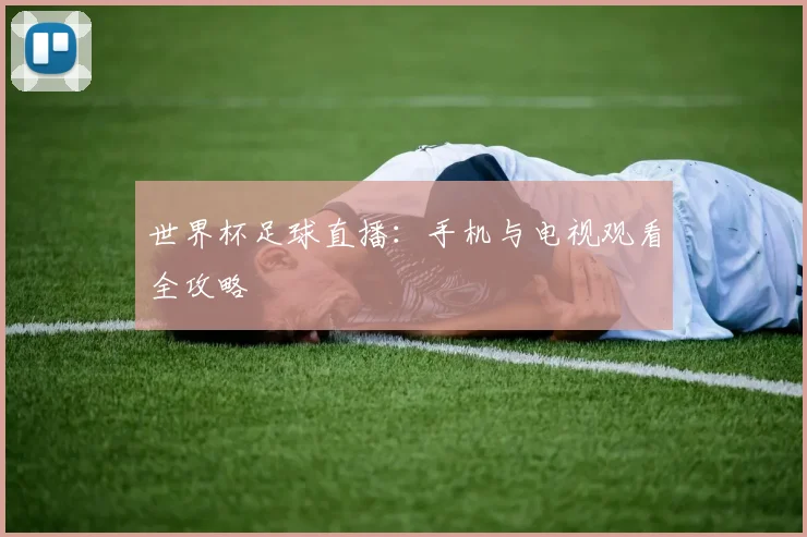 世界杯足球直播：手机与电视观看全攻略